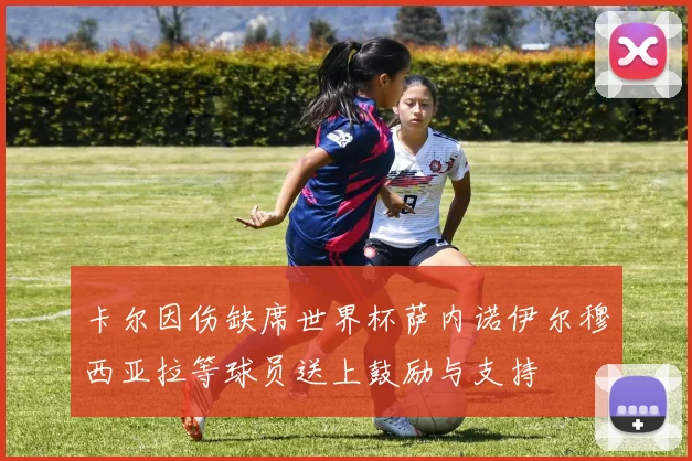 卡尔因伤缺席世界杯萨内诺伊尔穆西亚拉等球员送上鼓励与支持