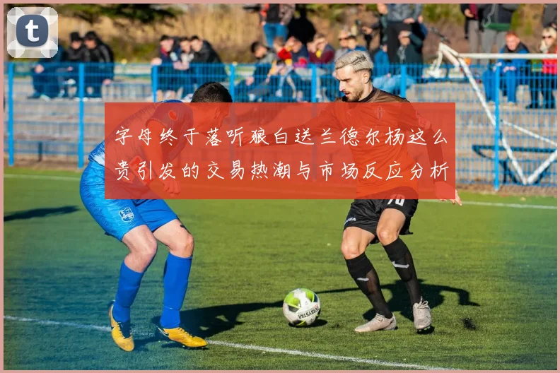 字母终于落听狼白送兰德尔杨这么贵引发的交易热潮与市场反应分析